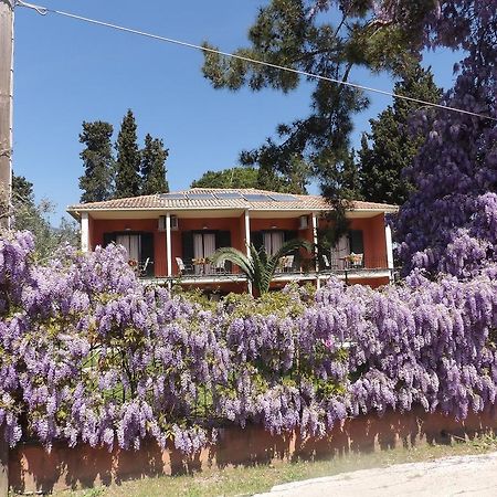Dassia Beach Pension Экстерьер фото