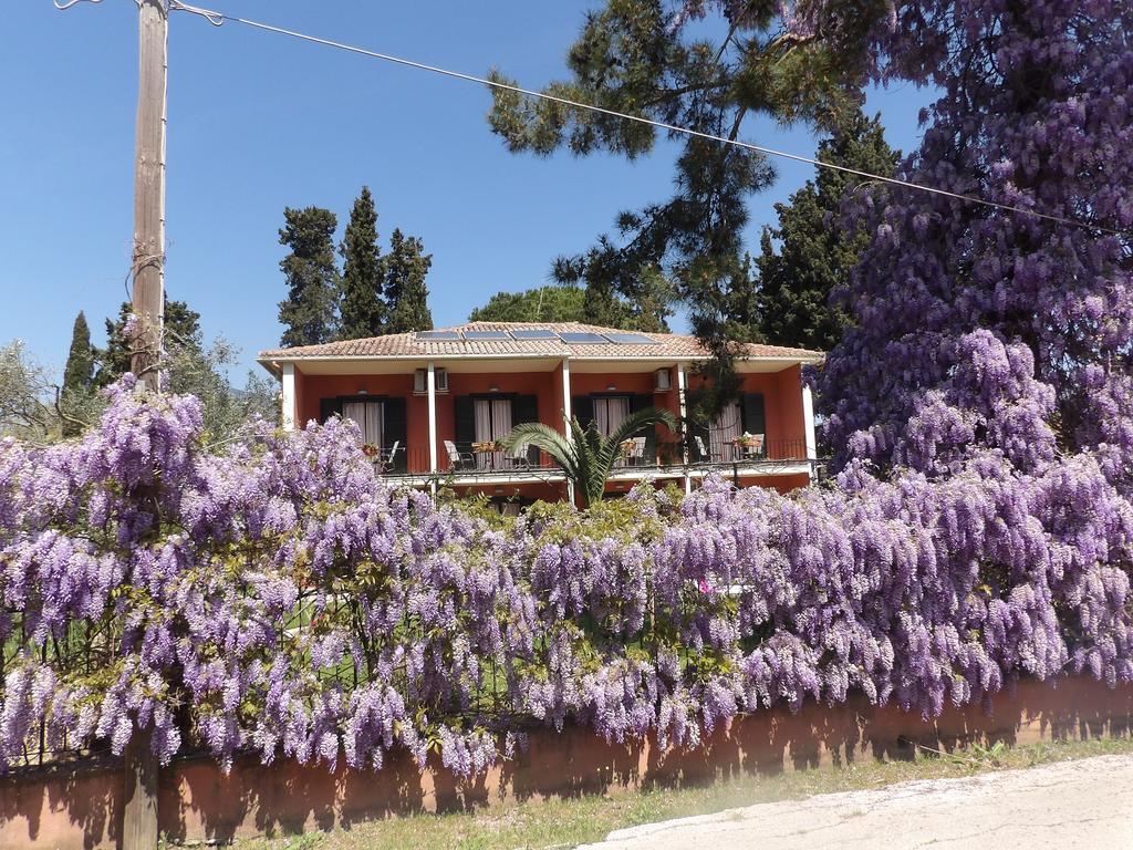 Dassia Beach Pension Экстерьер фото